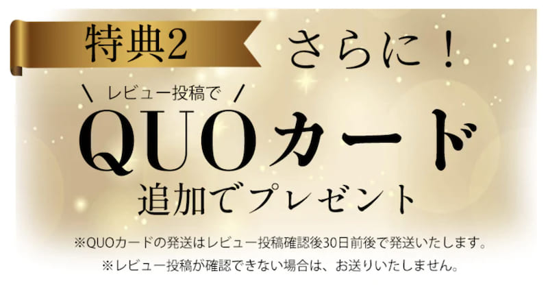 レビュー投稿で3,000円分のQUOカードプレゼント