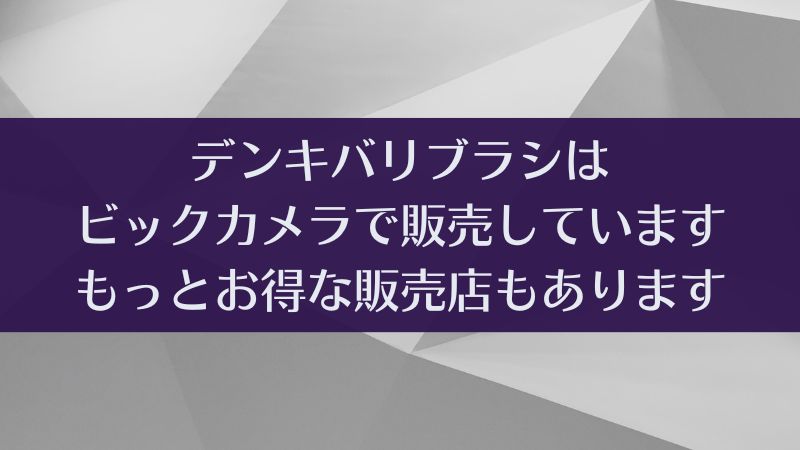 デンキバリブラシはビックカメラがお得！でもさらにお得な販売店があります｜電気バリブラシ