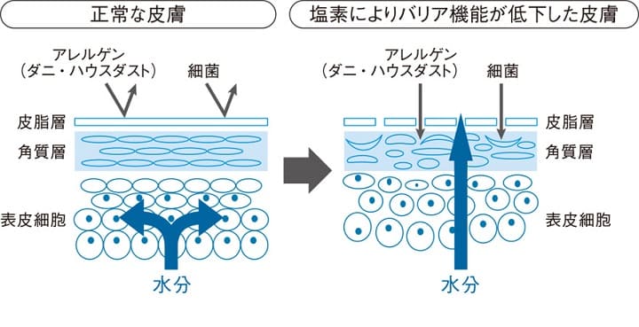 【徹底比較】ミラブルとミラブルプラスの違いがすぐわかる簡単解説　ミラブルとミラブルプラスの機能の違い